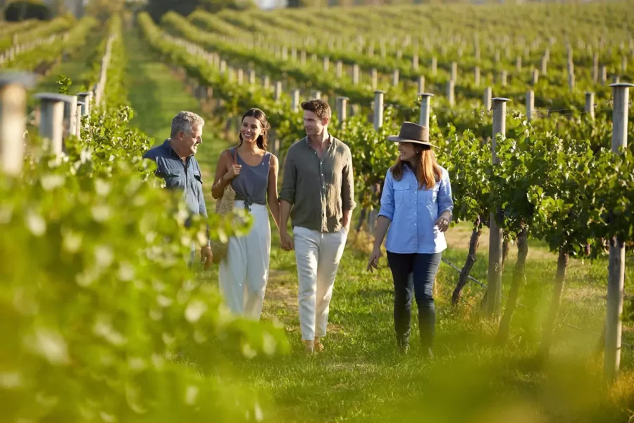 Kakheti tour from Tbilisi – wine  Region